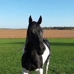 Peter Klapperich - @peterklap - Instagram