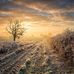 Peter Klatt - Facebook