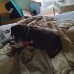 Peter Klein - @klein7486 - Instagram