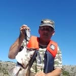 Peter Kleis - @ellaundotto - Instagram
