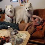 Peter Klement - Facebook