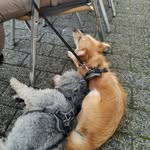 Peter Klicker - @20041966p - Instagram