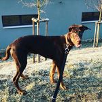 Peter Klinger - @klinger_peter - Instagram