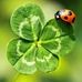 Peter Klug - Facebook