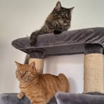 Peter Klug - @pklug2011 - Instagram
