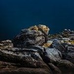 peterxknetter - @peterknetter41 - Instagram