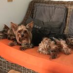 Peter Knierim - @peterknierim - Instagram