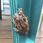 @peterknobel.1 - Instagram