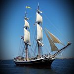 Klaus-Peter  Knoop - @klauspeterknoop - Instagram