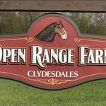 Open Range Farm & Peter and Wendy Knoop Family - @openrangefarmclydesdales - Instagram