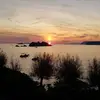 Peter - @peterkoh - TikTok