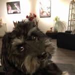 Peter Koopman - @pgkoopmam63hotmail.n - Instagram