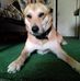Peter Koopman - Facebook