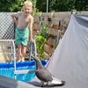 Peter Koopman - @peter.koopman - TikTok
