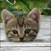 Sander Peterkoopman - Facebook