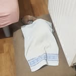 Peter Košik - @kosikpeter - Instagram