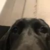 peterkosik_ - @ajaiwjhwbwnabwhqjjwk - TikTok