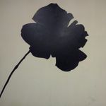 Peter Kostopoulos - @peterkostop - Instagram