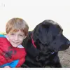 peterkramer - @peterkramer__2419 - TikTok