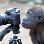 Peter Krawczyk - @heizermotorradfahrer - Instagram