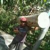 Peter Kuswoyo - @peter.kuswoyo - TikTok