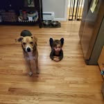 Pete Lacombe - @pjlacombe - Instagram