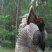 Pete Lacombe - Facebook