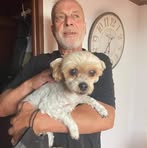 Peter Laden - Facebook