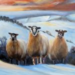 Peter Lamb - @peterpictor - Instagram