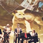 Peter Lamb and the Wolves - @peterlambandthewolves - Instagram