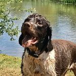 Peter James Lancaster - @peter.j.lancaster - Instagram