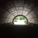 Peter Landa - @peter_m457 - Instagram