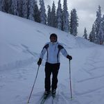 Peter Lang - @peterlang27 - Instagram