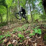 Peter Lang - @le_long - Instagram