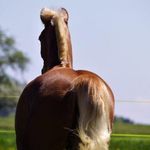 Peter Lang - @peterlang80 - Instagram