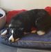 Peter Langford - Facebook