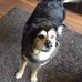 Peter Langford - Facebook