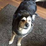 Peter Langford - @peter.langford.716 - Instagram