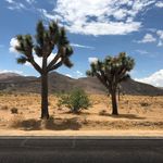 Peter Langford - @peterdlangford - Instagram