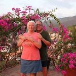 Peter Langford - @peter.langford.144 - Instagram