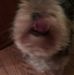 Peter Layden - Facebook