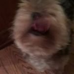 Peter Layden - @laydenpeter - Instagram