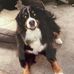 Pete LeDoux - Facebook