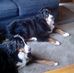 Peter LeDoux - Facebook