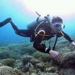 Peter Lehren - @peterlehren - Instagram