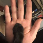 Peter Leis - @leispeter - Instagram
