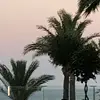 Leoni peter - @leonie.peter30 - TikTok
