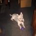 Peter Lepre - Facebook