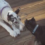 Peter Letts - @peter.letts.3 - Instagram