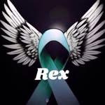 Peter Leventis - @nomorelovejuice - Instagram